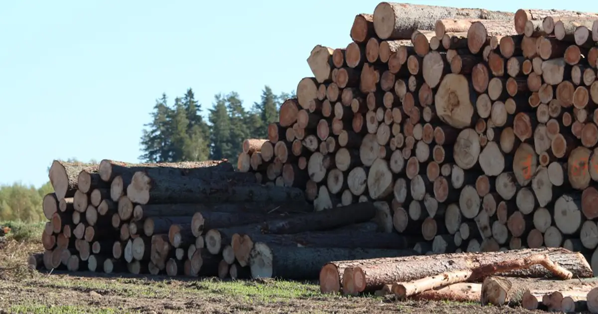 Kailcirte – labi vai slikti?